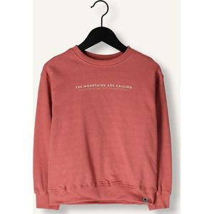 DAILY7 Oversized Sweater Backprint Truien & Vesten Jongens - Sweater - Hoodie - Vest- Roze - Maat 134