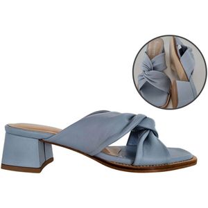 Stravers- Stijlvolle Slipper met Blokhakje Dames Maat 42 Grote Maten Muiltje Blauw