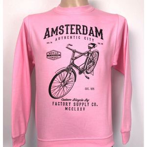 Sweater Amsterdam fiets roze | Maat XL