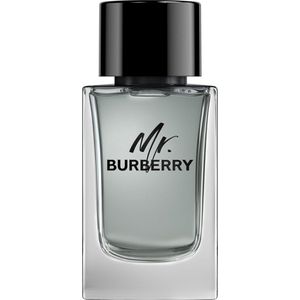 Burberry Mr. Burberry Eau de Toilette Spray 150 ml