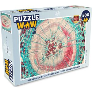 Puzzel Cirkel - Blauw - Rood - Legpuzzel - Puzzel 500 stukjes