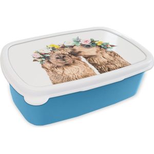 Broodtrommel Blauw - Lunchbox - Brooddoos - Alpaca - Bloemen - Dieren - Natuur - 18x12x6 cm - Kinderen - Jongen