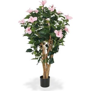 Hibiscus Deluxe rose 100cm