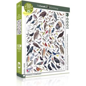 New York Puzzle Company - Cornell Lab Birds of Eastern/Centr. North American - 1000 stukjes puzzel