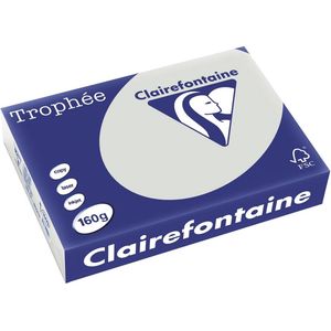 Clairefontaine Trophée Pastel, gekleurd papier, A4, 160 g, 250 vel, lichtgrijs 4 stuks