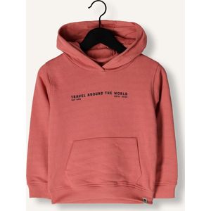 DAILY7 Hoodie Artwork Truien & Vesten Jongens - Sweater - Hoodie - Vest- Roze - Maat 104