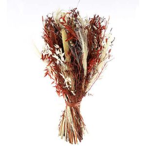 Sheaf boeket rood ↨ 60cm - hoge kwaliteit planten - Veldboeket - Droogboeket - Droogbloemen