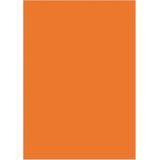 Kangaro papier - A4 - 120 grams FSC - pak 100 vel - oranje - K-0043F055