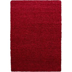 Hoogpolig Vloerkleed | Tapijt | Shaggy | Dream | Rood | 65x130 cm