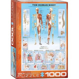 Eurographics puzzel The Human Body - 1000 stukjes