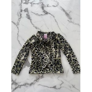 Meisjes trui - Meisjes Longsleeve - Shirt met lange mouwen in de kleur groen met leopard print, verkrijgbaar in de maten 104/110 t/m 164/170