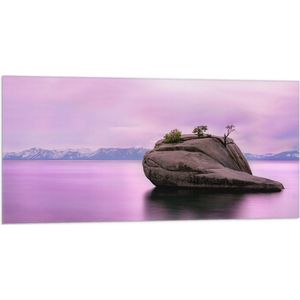 WallClassics - Vlag - Rots in Paars Water - 100x50 cm Foto op Polyester Vlag