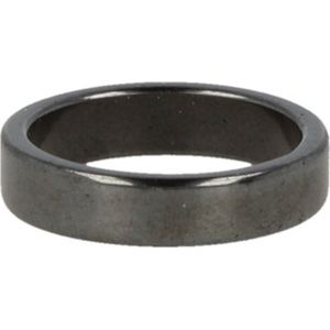 Stones & Bones® Hematiet Ring plat 4mm maat 16