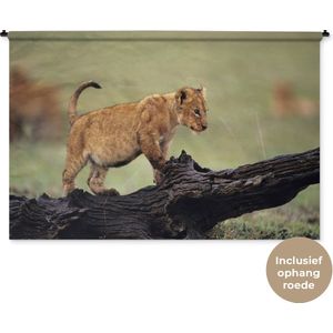 Wandkleed Leeuwen - Jonge leeuw in Kenia Wandkleed katoen 180x120 cm - Wandtapijt met foto XXL / Groot formaat!