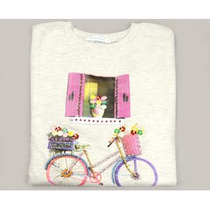 Trui / Sweater - Ladies Jumper