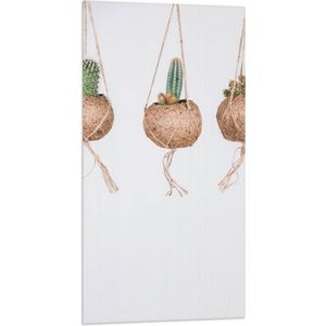Vlag - Planten - Cactussen - Bloempotten - Hangen - Groen - Bruin - Wit - 50x100 cm Foto op Polyester Vlag