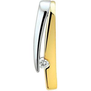 Bicolor Gouden Hanger zirkonia 4206460