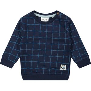 Frogs and Dogs - Sweater met Checks print - Navy Blauw - Maat 62 -