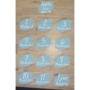 Mijlpaal kaarten Acryl - Maanden set - 13 borden - baby - milestone - zwanger - kraamcadeau - babyshower - blauw - hexagon