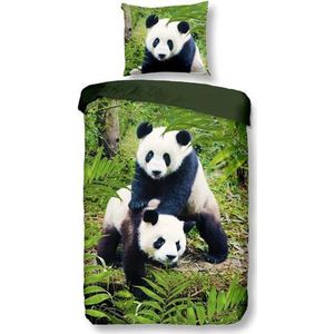 Snoozing Pandas - Dekbedovertrek - Eenpersoons - 140x200/220 cm + 1 kussensloop 60x70 cm - Multi kleur