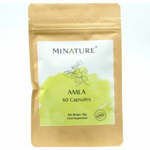Amla Capsules 60 stuks - 450mg Amla Poeder Per Vega Capsule - Gooseberry, Emblica Fruit Powder - 100% Plantaardig