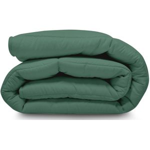 Stonewashed All in One Wasbaar Dekbed Easy 240x200 - Dekbed zonder overtrek - Hoesloos dekbed - Eazy dekbed - Gekleurd dekbed - All Year Winterdekbed & Zomerdekbed - Lits Jumeaux Dekbed - Frosty Spruce - Dekbedden