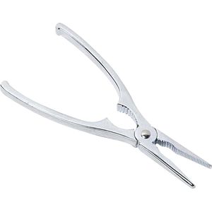 Cosy&Trendy Kreeften- en Notentang