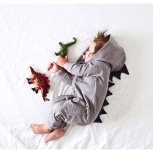 Baby Onesie Grijs Maat 100