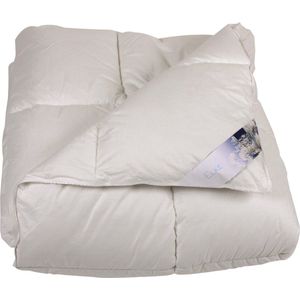 Polydaun Elke - Synthetisch - Dekbed - Lits-jumeaux - 240x200 cm - Wit