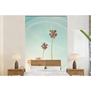 Palmbomen - Zon - Lucht - Natuur - Zomer - Behangpapier