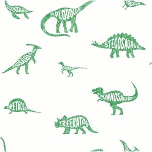 Over The Rainbow- Dino Dictionary Green 90902