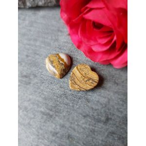 Zaksteen Hart Picture Jaspis