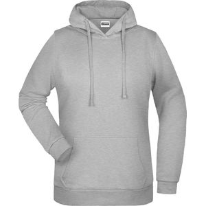 James And Nicholson Vrouwen/dames Basic Hoodie (Grijze Heide)