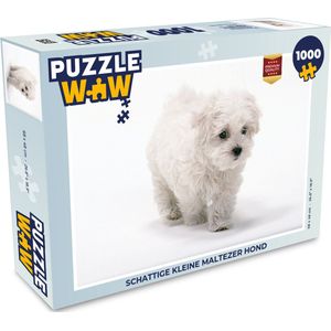 Puzzel Schattige kleine Maltezer hond - Legpuzzel - Puzzel 1000 stukjes volwassenen