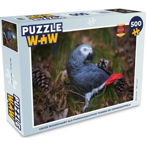 Puzzel Grijze roodstaart als papegaaiachtige tussen de dennenappels - Legpuzzel - Puzzel 500 stukjes