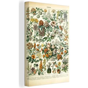Canvas - Bloemen - Geel - Wit - Oranje - Vintage - Tekening - Muurdecoratie - Canvasdoek - 60x90 cm