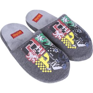 Donkergrijze, warme pantoffels, pantoffels met de logo's van Harry Potter MAAT 30-31 EU