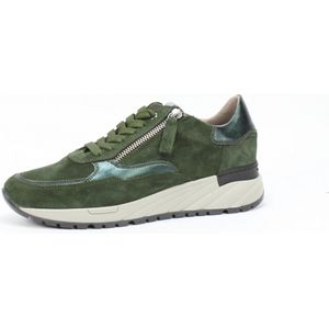 DLSport 5849 velour loden GROEN