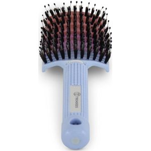 Trendees - Anti-Klit Haarborstel - Zalm/Paars/Blauw - Hoofdhuid Verzorging - Curved