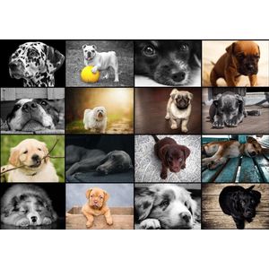 Legpuzzel - 1000 stukjes - Collage - Honden - Grafika puzzel