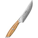Hezhen - X01 Flagship Series - Steakmes - Olijfhout - Damascus Poederstaal