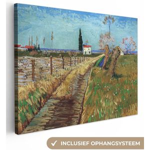 Vincent van Gogh - Pad door een veld met Wilgen - Vincent - Kunst - 120x90 cm - Muurdecoratie