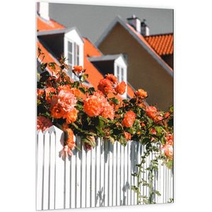 WallClassics - PVC Schuimplaat- Witte Schutting met Roze Tuinrozen - 100x150 cm Foto op PVC Schuimplaat