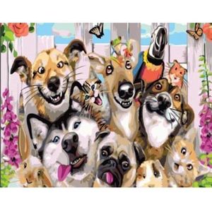 Painting Expert® Schilderen op nummer Volwassenen - Schilderen op nummer Kinderen - Selfie Honden - 40x50cm - Exclusief Lijst (24 kleurtjes)