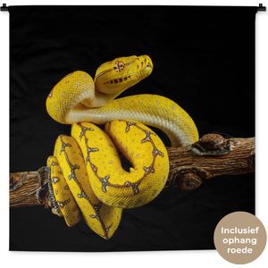 Wandkleed Dieren op een zwarte achtergrond - Gele boom python voor zwarte achtergrond Wandkleed katoen 150x150 cm - Wandtapijt met foto