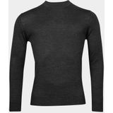 Baileys Pullover Grijs Turtle neck 420067/93