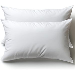 Kussen voor bed 50 x 80 cm, hoofdkussen, set van 2 binnenkussens, hypoallergeen, anti-mijt, zachte kussenvulling met kussensloop, katoen en polyester, afneembaar en wasbaar slaapkussen voor thuis /