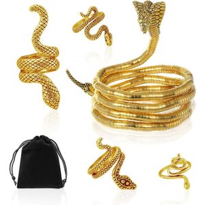 Gouden slangenketting en gouden slangenring - zwart opbergtas - slangensieraden - verstelbare halsketting - damessieraden .