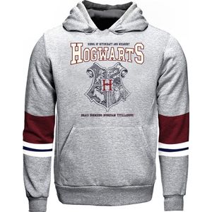 Harry Potter - Hogwarts Crest Sweatshirt Grijs 10 jaar
