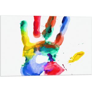Vlag - Kleurrijke Handafdruk tegen Witte Achtergrond - 75x50 cm Foto op Polyester Vlag